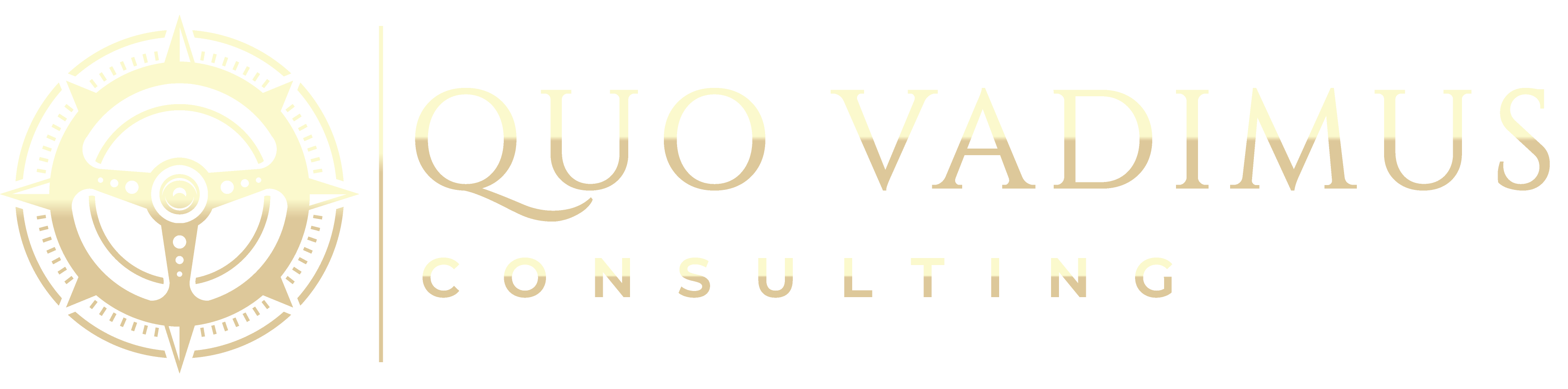 Quo Vadimus Consulting